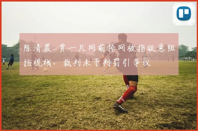 陈清晨_贾一凡网前抢网被指故意阻挡视线，裁判未予判罚引争议