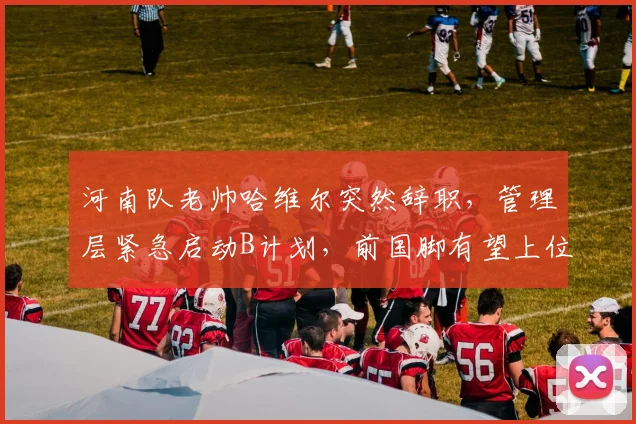 河南队老帅哈维尔突然辞职,管理层紧急启动B计划,前国脚有望上位