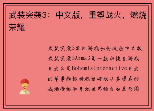 武装突袭3：中文版，重塑战火，燃烧荣耀